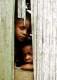 Imagen de Invisibles