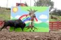 Imagen de Jackass 3