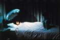 Imagen de La maldiciÃ³n (The Grudge)