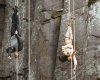 Foto de Lara Croft Tomb Raider, La cuna de la vida