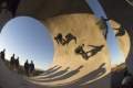 Imagen de Los amos de Dogtown