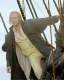 Foto de Master and Commander: Al otro lado del mundo
