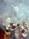 Foto de Master and Commander: Al otro lado del mundo