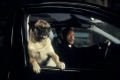 Imagen de Men in black 2