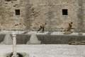 Foto de Oh, Jerusalen