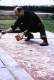 Imagen de Pollock