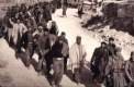 Imagen de Rejas en la memoria