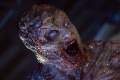 Foto de Resident Evil 3: Extinction