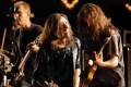 Imagen de Rock & Cat