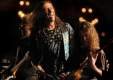 Imagen de Rock & Cat