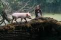 Foto de Rudy: El cerdito de carreras