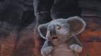 Foto de Salvaje (2006)