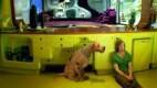 Foto de Scooby-Doo 2: Desatado