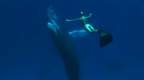 Imagen de The Cove