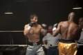 Foto de The Fighter