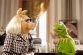 Imagen de Los Muppets