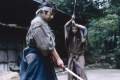 Imagen de The hidden blade