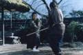 Imagen de The hidden blade